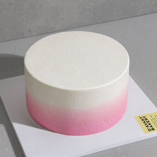 B5. Ombre Cake